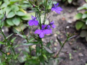 IMG_20190613_164556