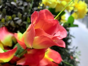 IMG_20190613_164908