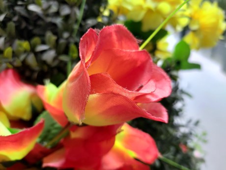 IMG_20190613_164908