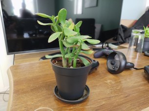 IMG_20190613_165445