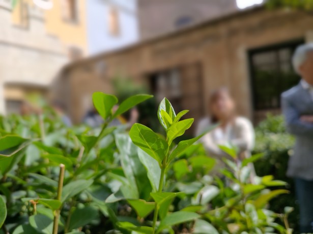 P_20190517_102840