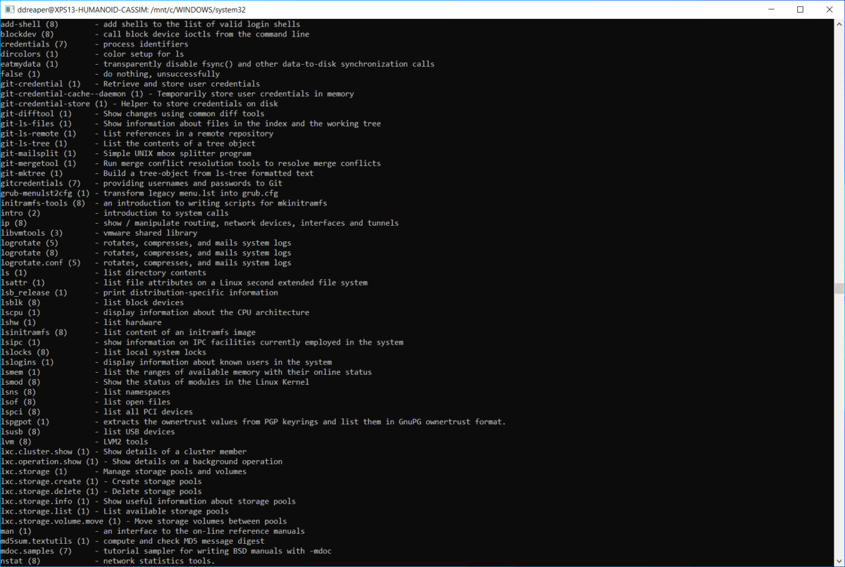 Bash Terminal