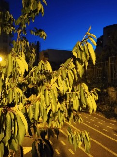 Moto G7 Power Photo 6