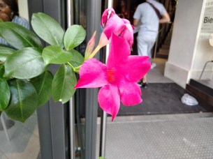 IMG_20190808_151132