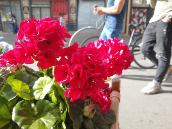 IMG_20190811_173418448