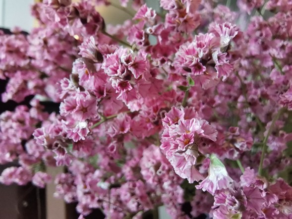 Photo Honor 20 Pro macro 2