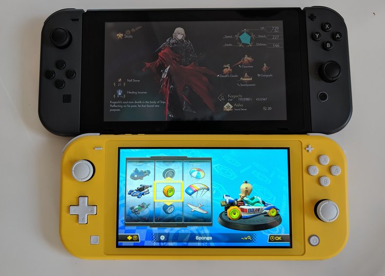 Switch Lite manette