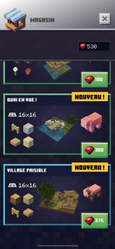 Minecraft Earth Prise en main (23)