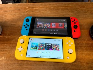 Nintendo Swtich Lite vs Nintendo Switch