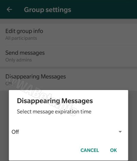 WhatsApp autodestruction messages délai options