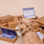 Quels sont les délais de retour pour vos achats en ligne de Noël ? Quels sont les délais de retour pour vos achats en ligne de Noël ?