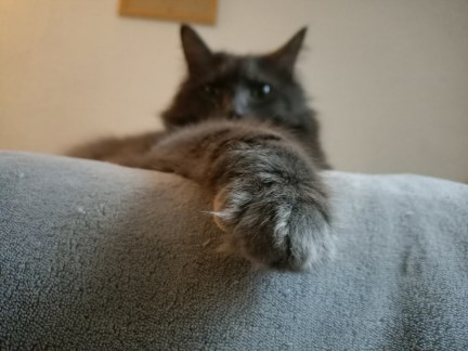 IMG20191110131003