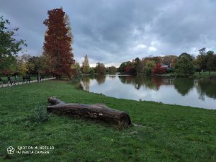 IMG_20191103_164903