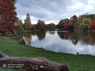 IMG_20191103_164908