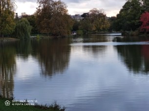 IMG_20191103_164913