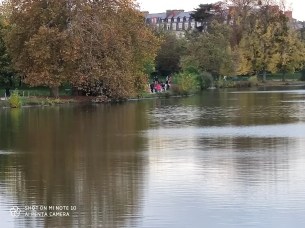 IMG_20191103_164925