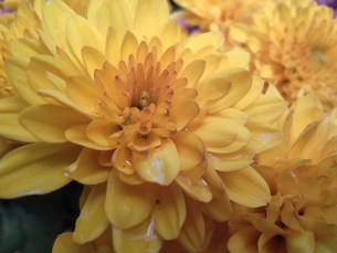 IMG_20191107_135157