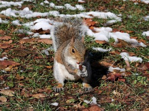 IMG_20191203_115607