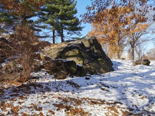 IMG_20191203_120218