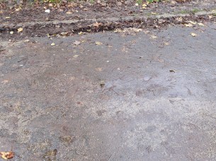 IMG_20191206_120922