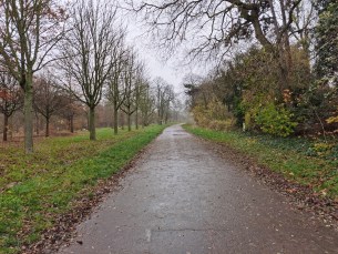 IMG_20191206_121142