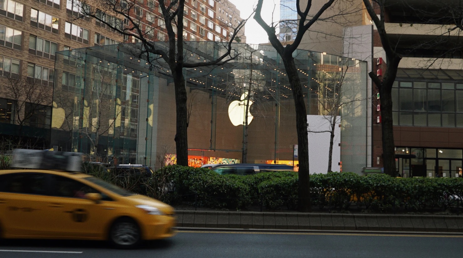 apple logo applestore