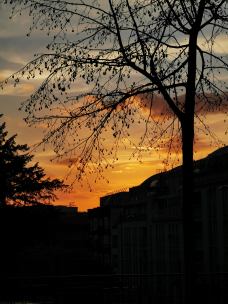 IMG_20190326_185815