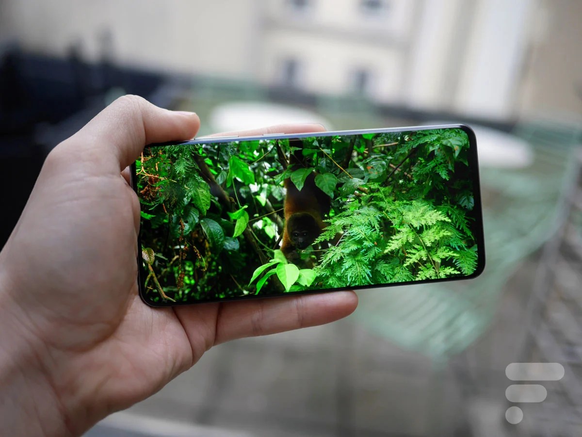 L'écran du Samsung Galaxy S20