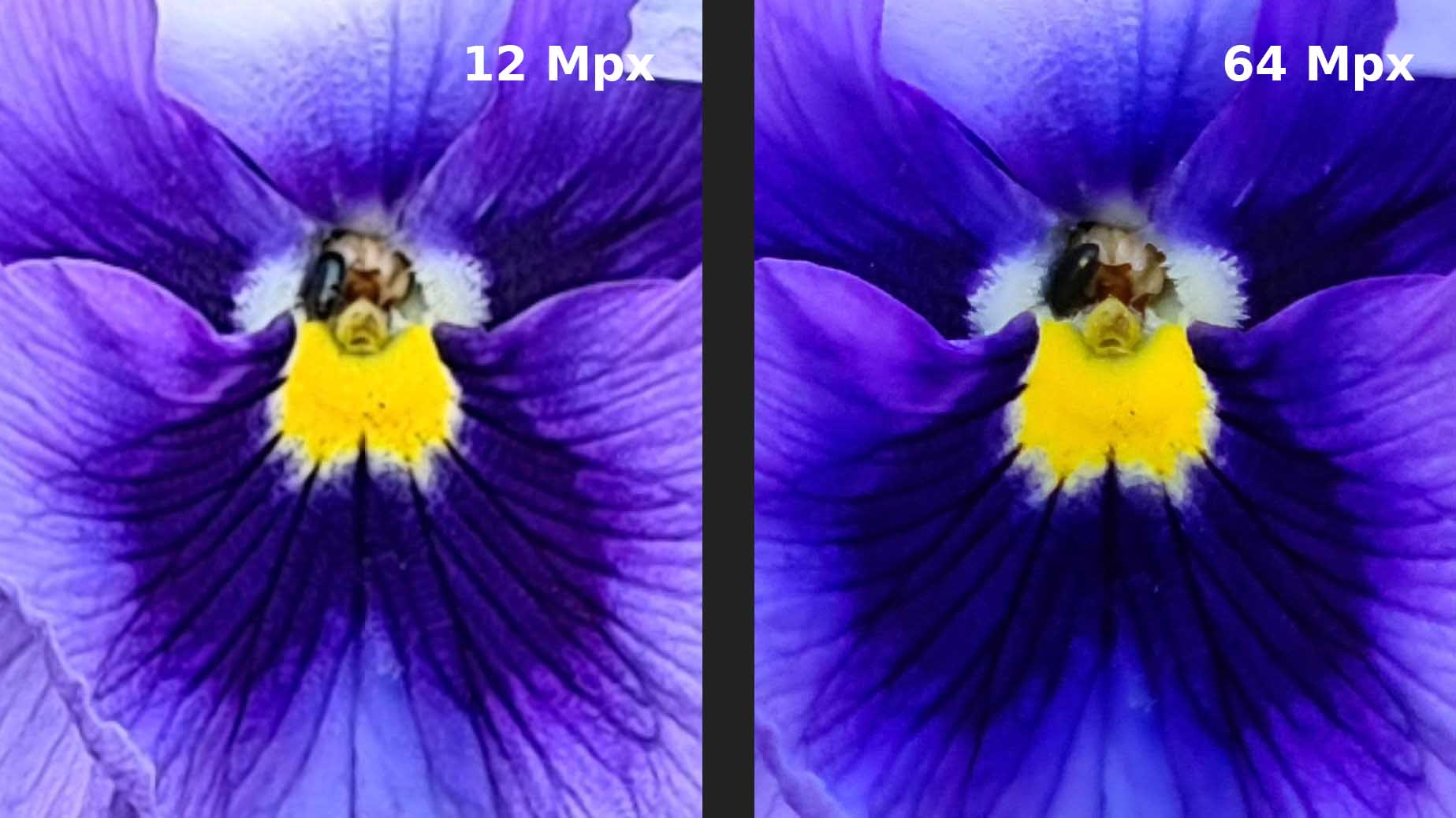 Comparo S20 Plus fleur