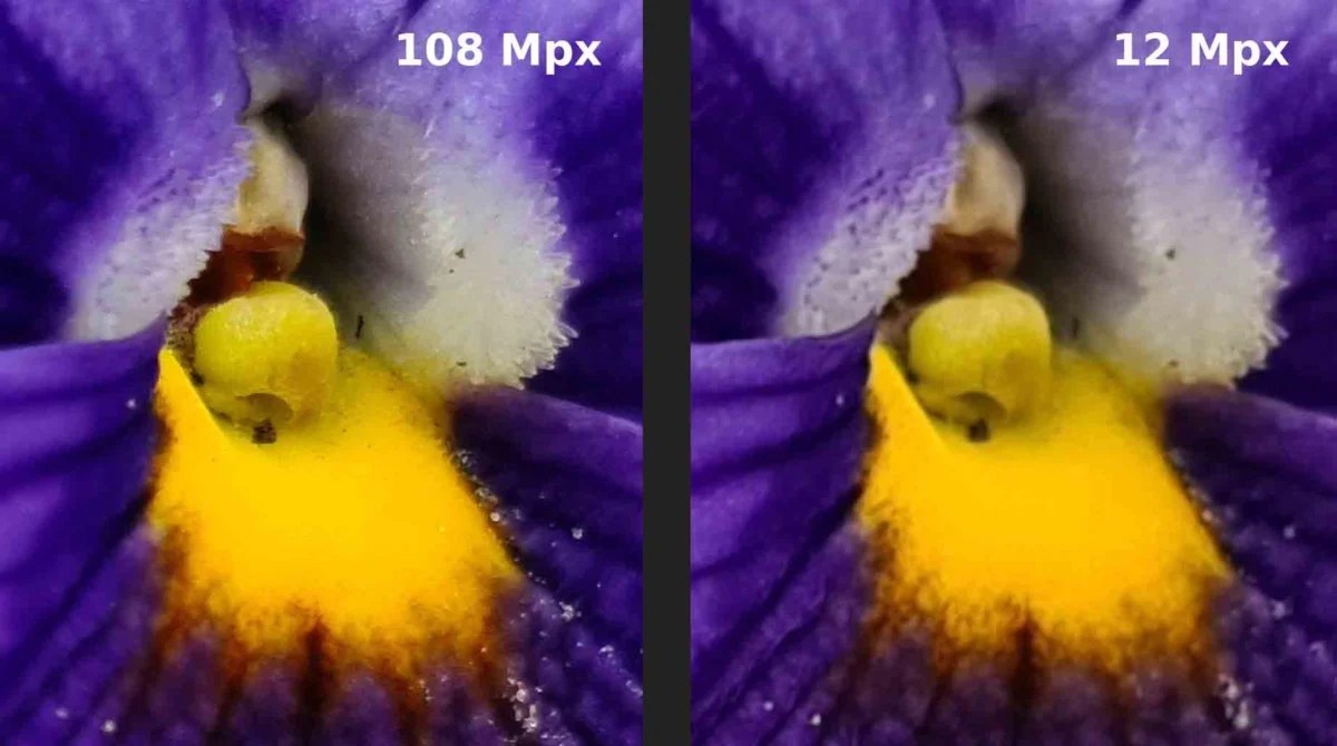 Fleurs 108 mpx vs 12 mpx galaxy s20 Ultra