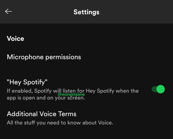 spotify-assistant-vocal- (1)