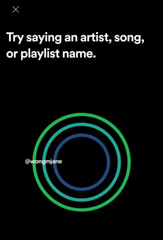 spotify-assistant-vocal- (2)