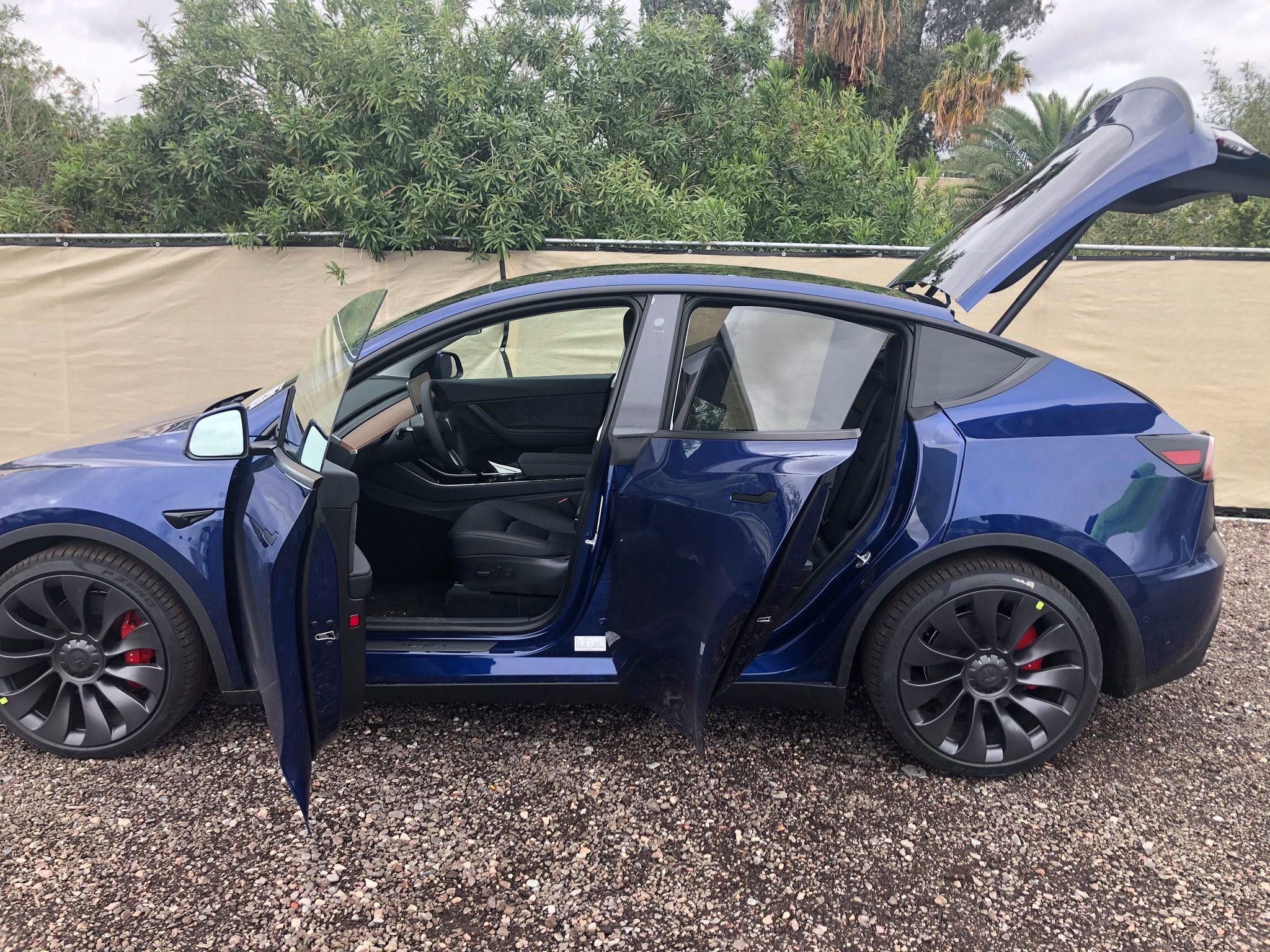 tesla model y (2)