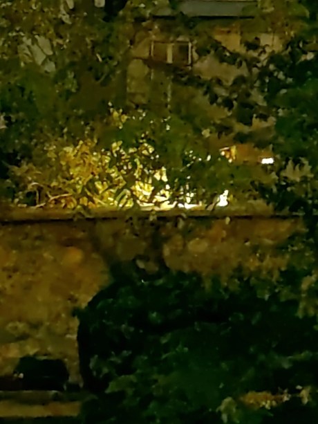Photo en mode de nuit de l'Oppo Find X2 Pro en zoom x5