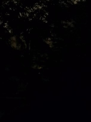 Mode auto du Honor 9X Pro, zoom x2