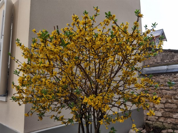 IMG_20200409_120134