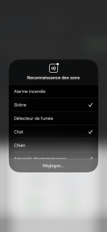 Les notifications de reconnaissance des sons dans les paramètres d'accessibilité d' iOS 14