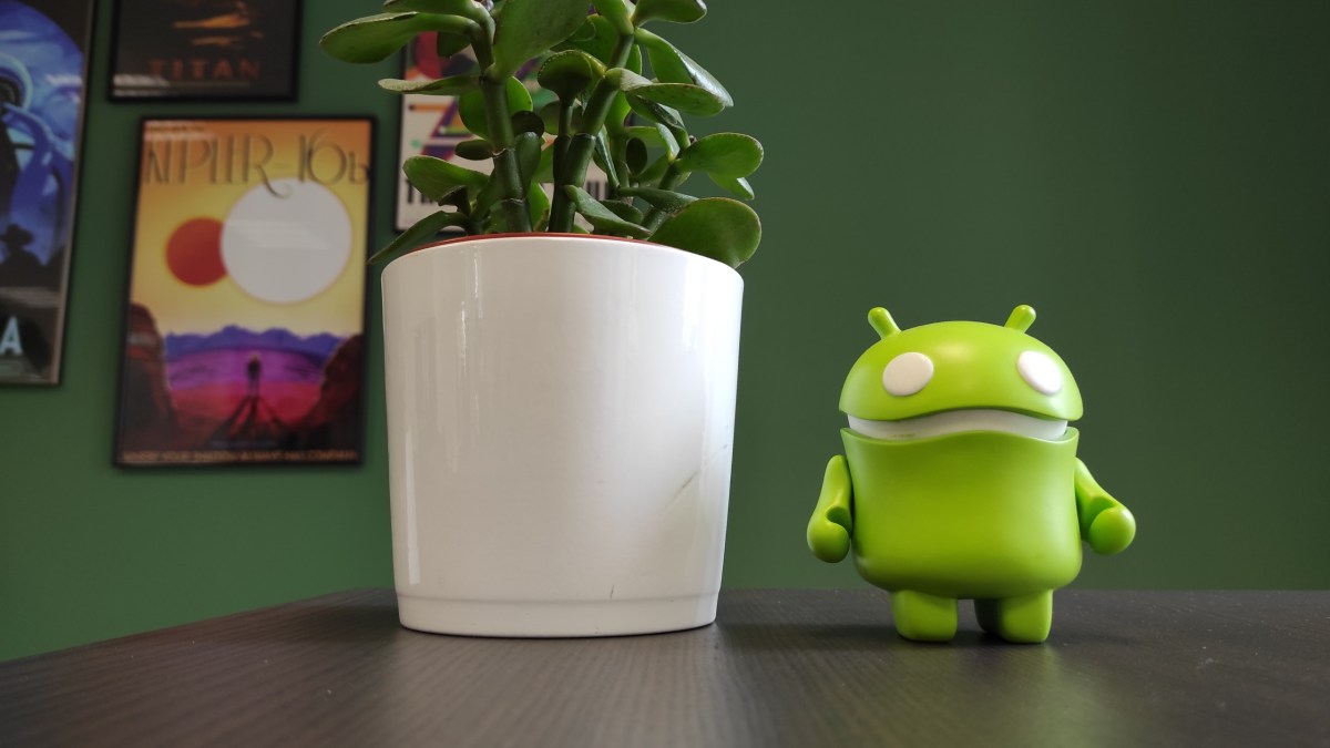 Le filigrane sur une photo prise avec un smartphone Xiaomi