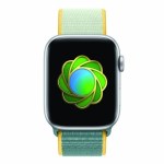 Apple lance un défi aux propriétaires d’Apple Watch pour la Journée de l’Environnement