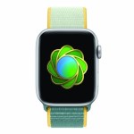 Apple lance un défi aux propriétaires d’Apple Watch pour la Journée de l’Environnement Apple lance un défi aux propriétaires d’Apple Watch pour la Journée de l’Environnement