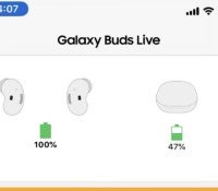 L'appli Galaxy Buds sur l'App Store