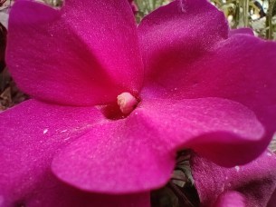 IMG_20200723_154434