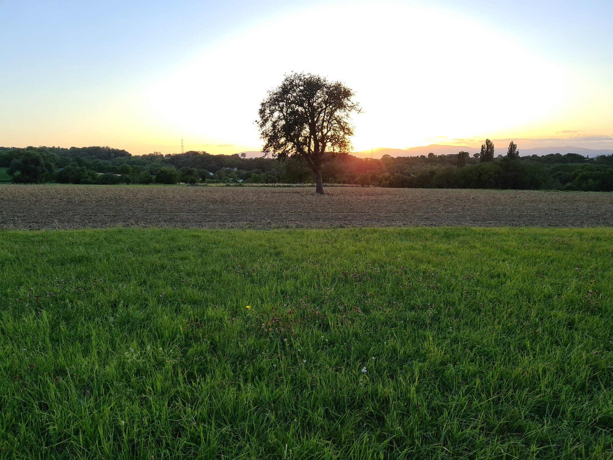 Golden Hour : comment réussir la photo parfaite au smartphone