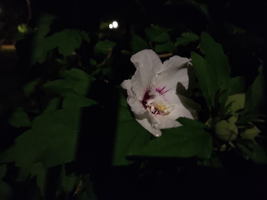 xiaomi-mi-10-lite-sample-photo-nuit- (1)