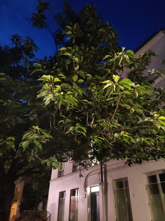 xiaomi-mi-10-lite-sample-photo-nuit- (2)