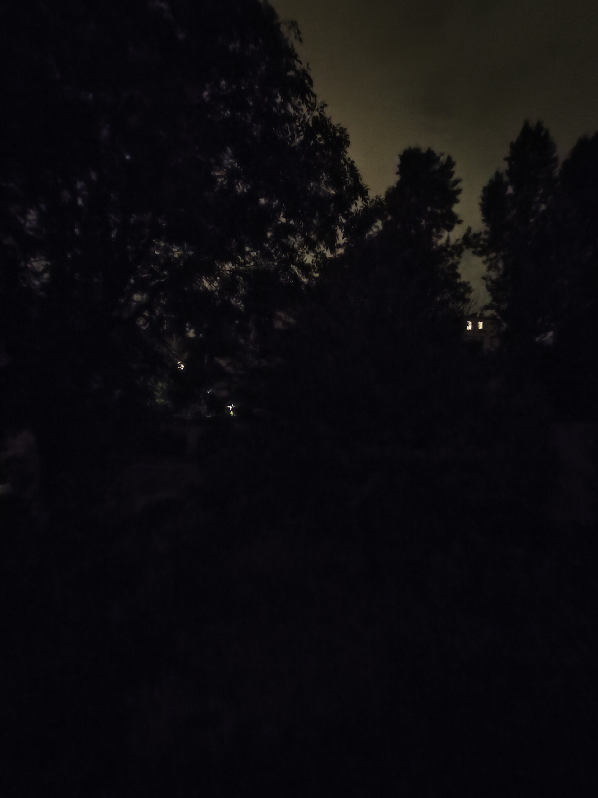 Photo en mode nuit du Realme X50, ultra grand-angle