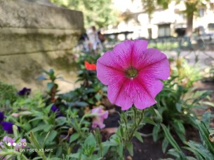 IMG_20200917_113951