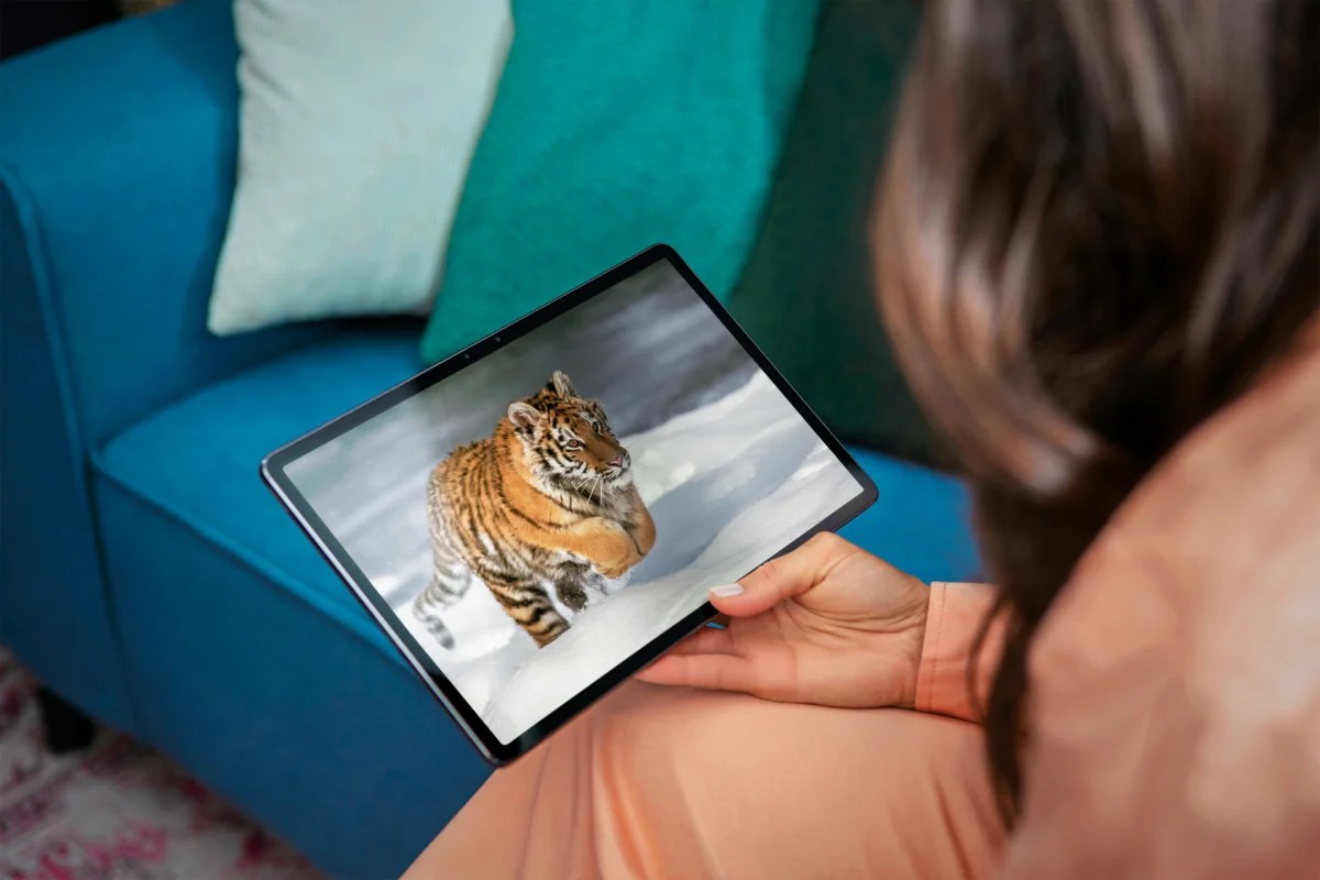 Lenovo Tab P11 Pro_Lifestyle_tiger