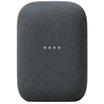 Google Nest Audio Frandroid 2020