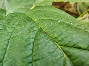 IMG_20201010_172351